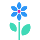 Flower 6